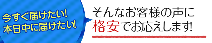 今すぐ届けたい！本日中に届けたい！そんなお客様の声に格安でお答えします！